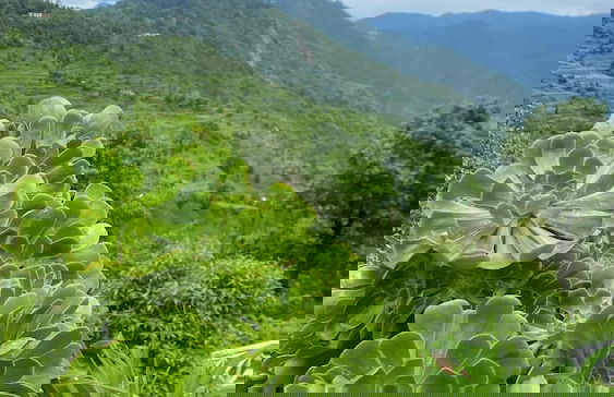 Luxsugero Cottages Premium - Foto 1