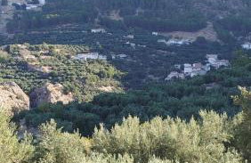 La parrilla - Photo 1