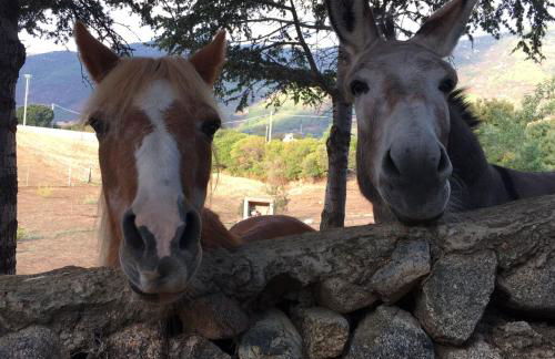 Agriturismo Asara - Foto 18