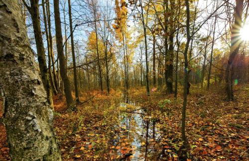 Creekside Cozy 3BD • Near Dunes - Foto 26