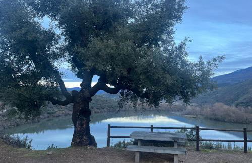 A casa do teléfono - Foto 23