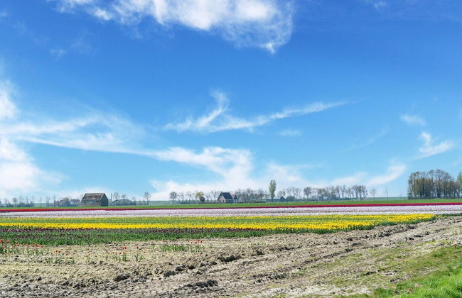 Amazing Holiday Home With Spacious Garden - Photo 35