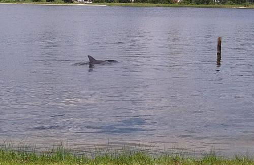 Studio with Private Beach on Bayou Grande - Photo 12