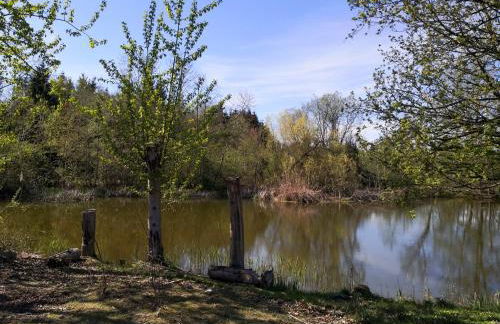 Naturlandhof Mitterer - Photo 6