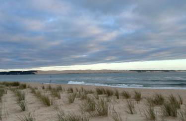 T1bis dans les dunes du Cap Ferret - Foto 1