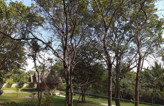 The Bell Farm Eco Resort - Foto 18