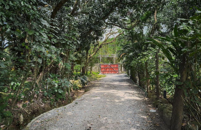 Pé na areia - Praia do Curral - Ilhabela - Foto 29