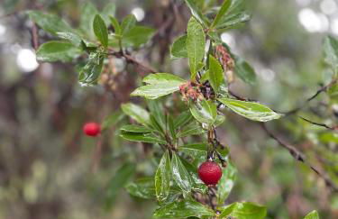 Casinha Revira Volta - Foto 39