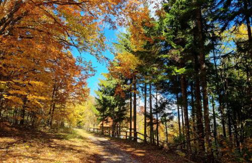 Starry Laz mountain house - Foto 24