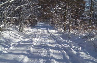 Casa Müller - Foto 32