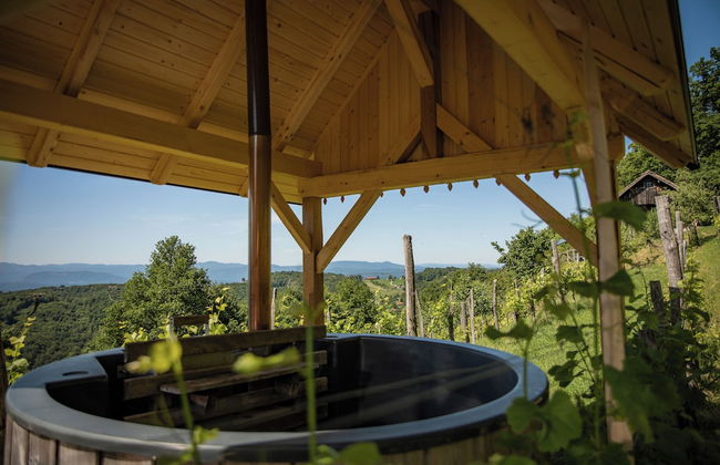 Vineyard cottage Škatlar 3 - Foto 15