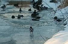 Oaza spokoju - Walendów - Foto 41