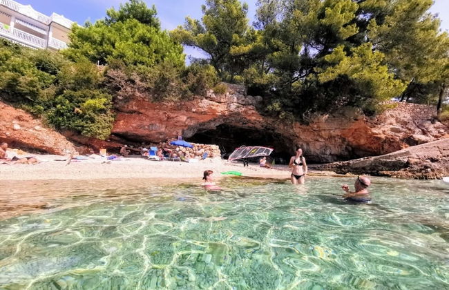 Dino - Gorgeous Garden - SA1 Zavala - Photo 29