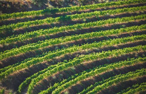 Quinta do Valdalágea - Foto 126