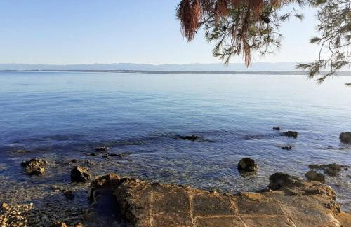 Apartment Brane - Photo 33