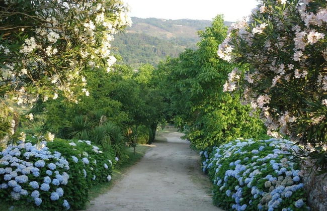 Holiday Home in Ponte de Lima With Pool - Foto 34