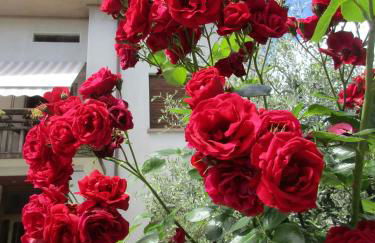 CASA ROMAN ITALIA, Center Sacile - Foto 50