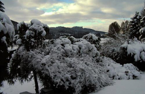 Ferienwohnungen Vesteblick - Foto 39