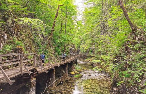 CASA MONTE - Foto 76