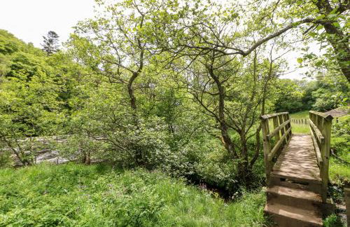 Meadows Edge - Photo 39