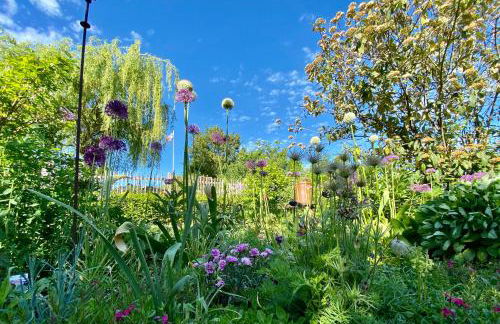 "GartenTraum" - FeWo in Marienmünster - Ostwestfalen - Foto 26