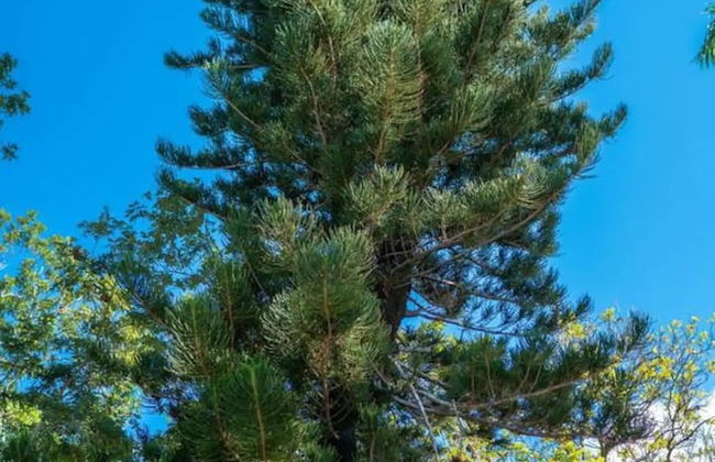 Nianna Eden - Photo 77