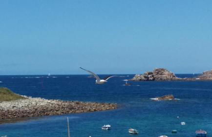 Natursteinhaus in Portsall - Foto 34