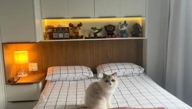 Apartamento em São Vicente - Foto 4