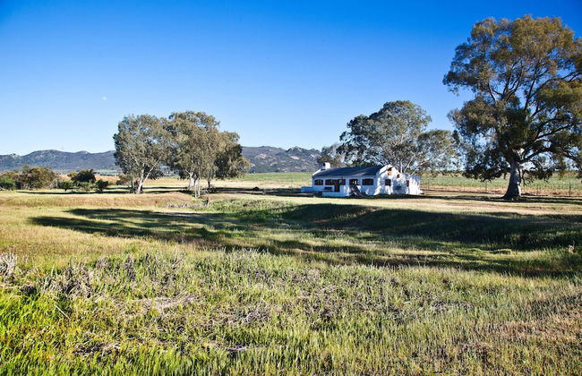 Denneboom Vineyards and Wildlife - Foto 45