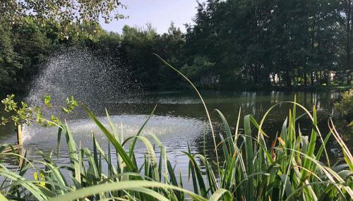 Le Cottage de l etang - Foto 4