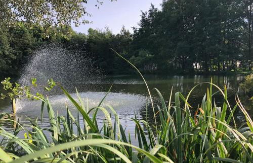 Le Cottage de l etang - Foto 4