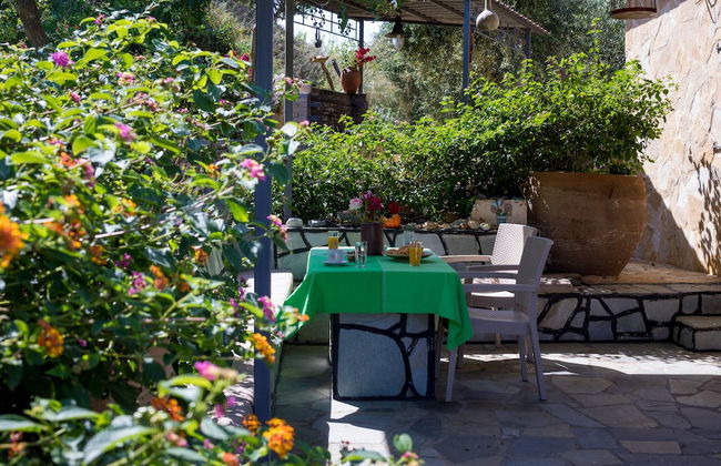 The Olive House - Photo 21