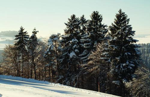 Haus Jehle - Foto 19