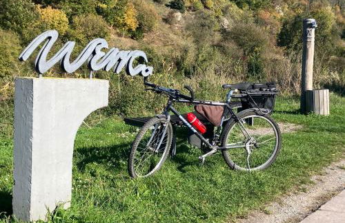 Beim Tannenbaum - Foto 18