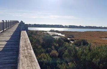 Apartamento Las Olas de Valdelagrana - Foto 22