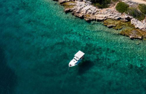 My seagull - Photo 63