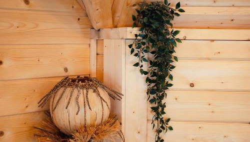 Gite Petite Chaumière-La Corne d'Or - Photo 5