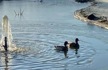 Zara’s retreat - Photo 10