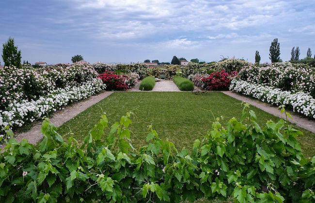 Il Fienile di Assisi - Foto 78