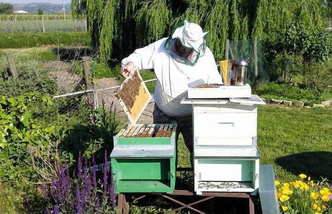 Agriturismo La Borina - Foto 47