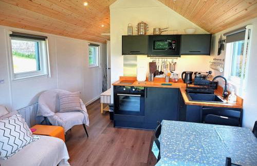 CABIN 8 Pet friendly Family glamping Seaview - Photo 6