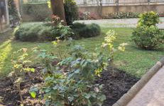 MEMories Milano - Isola Apartment - Foto 16