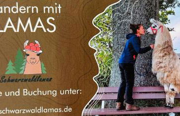 Ferienwohnung Kleiner Fuchs - für Familien mit Babys eingerichtet - Foto 28