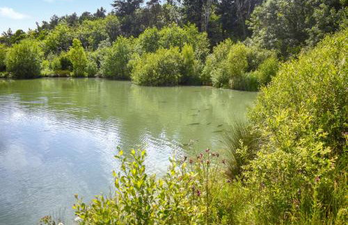 Oak Park Two - Uk50063 - Foto 19