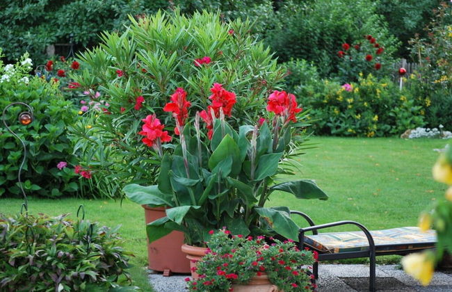 Haus Jorg Sosna Modern Retreat - Foto 15