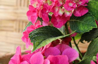 Casa VersoMare - Foto 18