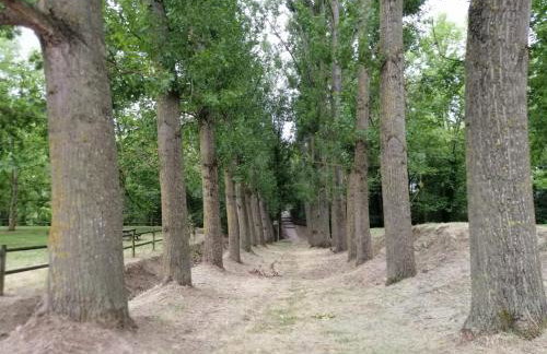 Apartament Bellserrat - Foto 43