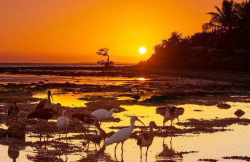 Sobe Apartments - Foto 31