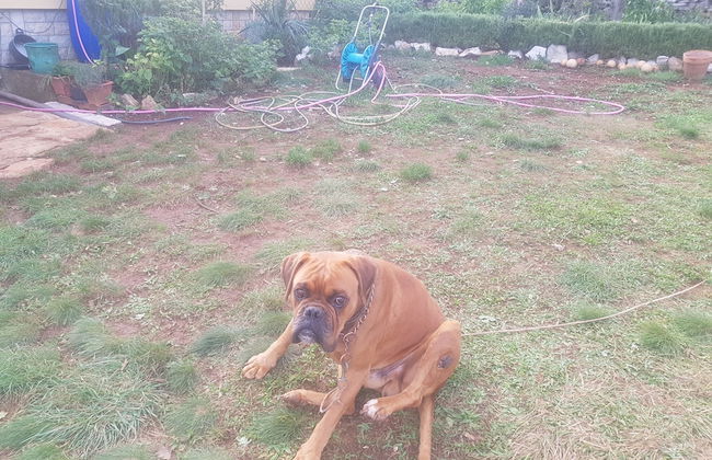 Lovely 2-bed House in Klarici Close to Pula - Foto 23