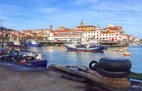 POLITXE Bermeo - Foto 15